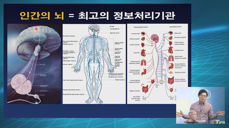 뇌에 관한 7가지 진실 3강 : 뇌와 몸은 하나다